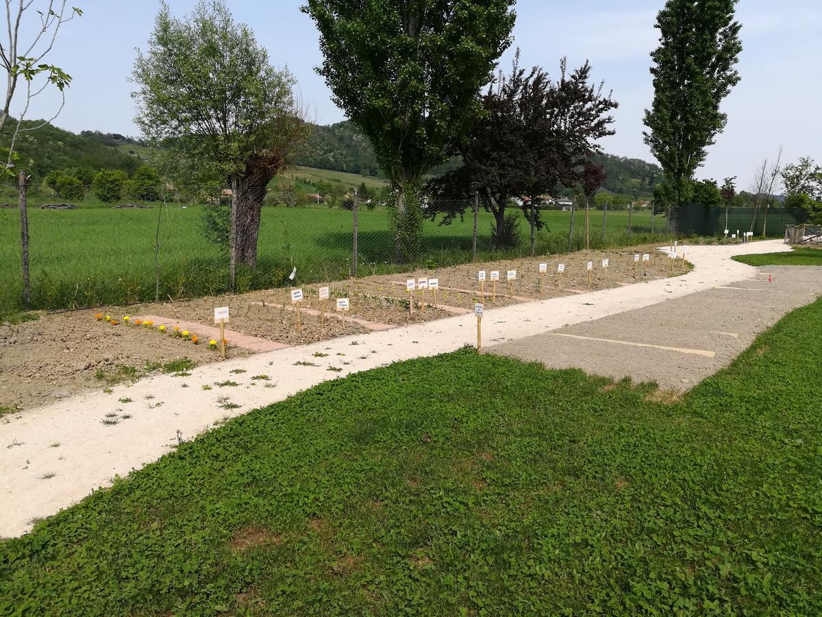 Casa In Campagna Villa Torreglia Luaran gambar